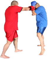 How to block a punch